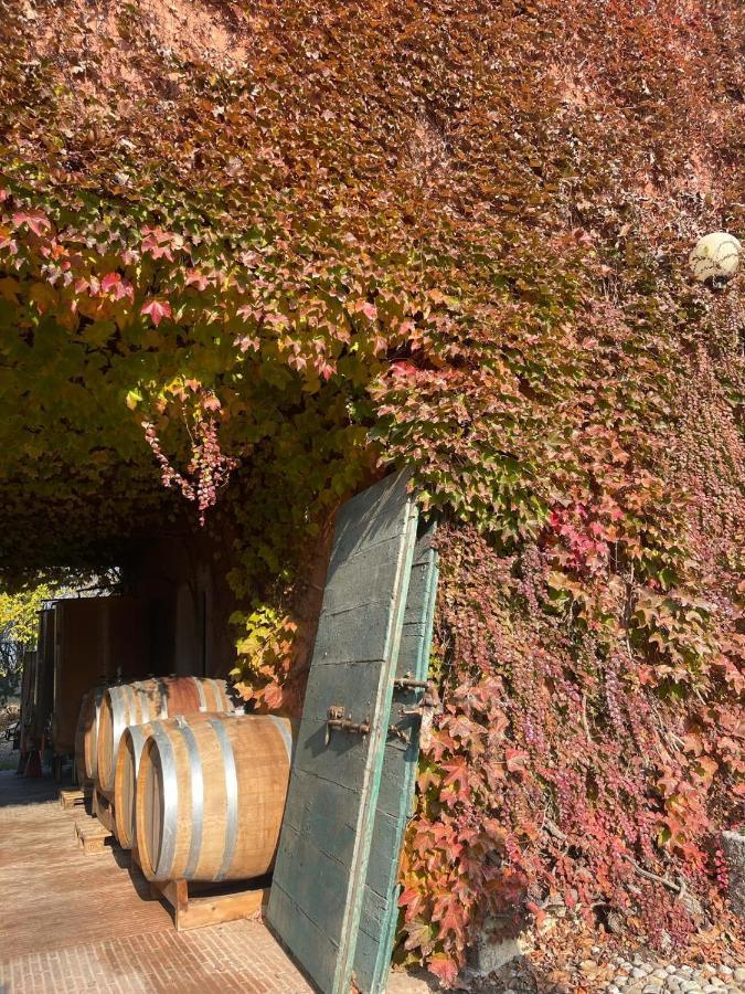 Tenuta Pizzone Wine Resort Rivanazzano Terme Exteriér fotografie